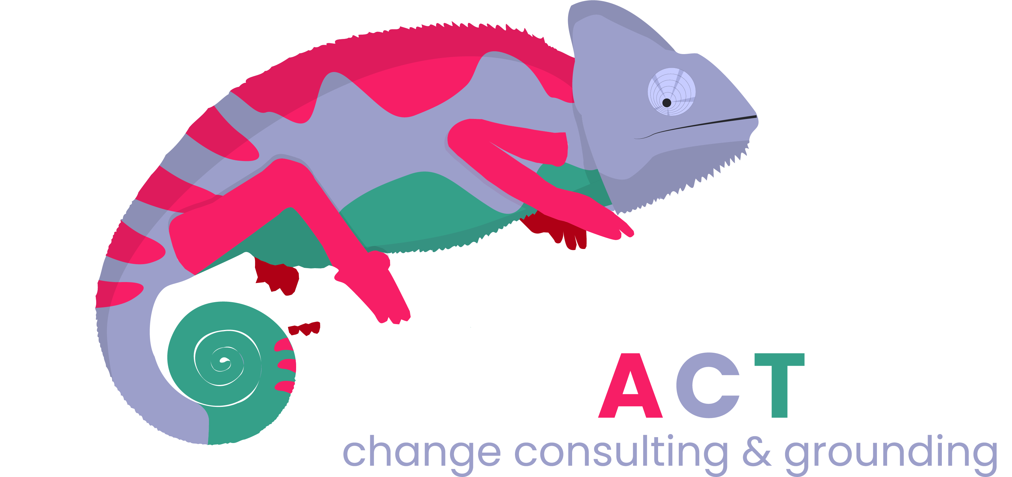 VARIACTION Logo